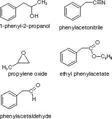Virtual Textbook: Practice Problems — A Selection Problem for Aldehyde & Ketone Chemistry Discussion, figure 6