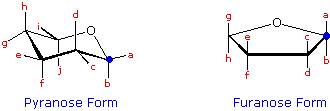 Virtual Textbook: Practice Problems — Pyranose & Furanose Forms of Monosaccharides, figure 1