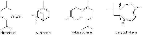 Virtual Textbook: Practice Problems — Drawing Structures for Ozonolysis Products, figure 1
